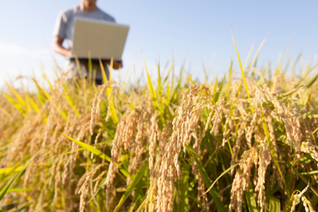 Agroindústria já pode aderir ao programa da receita federal que permite quitação de dívidas tributárias sem juros