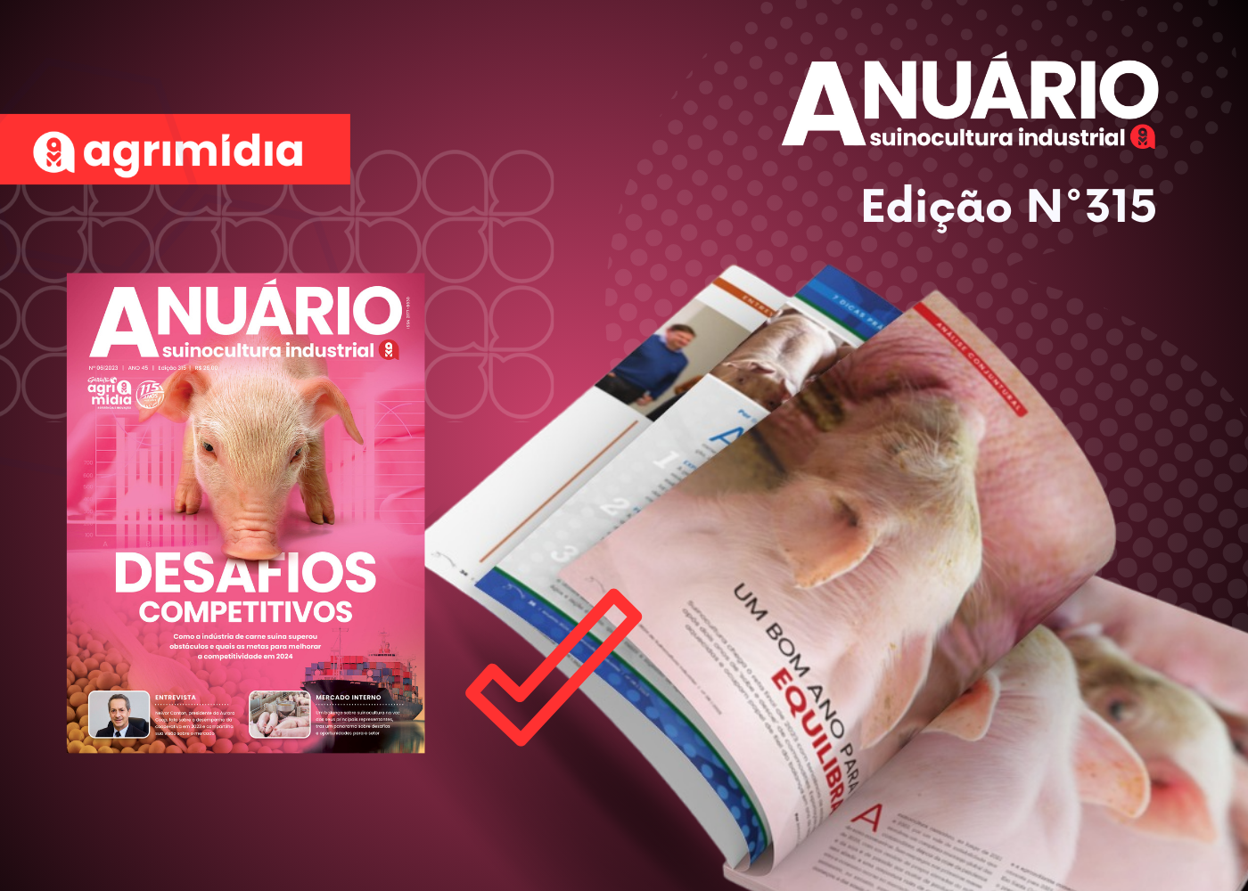 Suinocultura teve um bom ano para se equilibrar