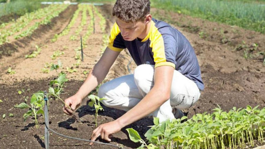 Projeto incentiva empreendedorismo entre jovens rurais de baixa renda