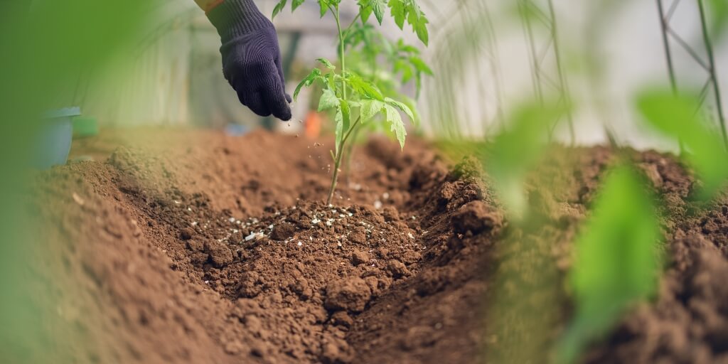 Agricultura brasileira está vulnerável devido alta importação de fertilizantes, alerta Embrapa