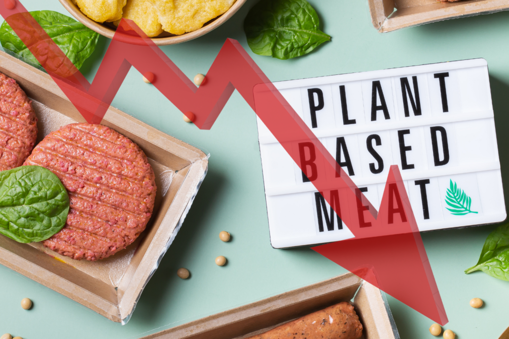 Mercado de proteínas alternativas registra queda nos investimentos e no varejo em 2023