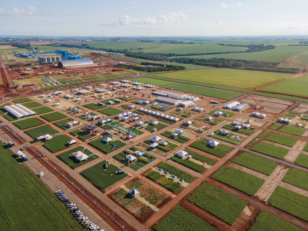 C.Vale acelera os preparativos para o Dia de Campo de Verão previsto para 23 e 24 de janeiro