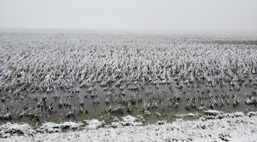 Onda de frio extremo pode chegar ao Brasil em 2024?