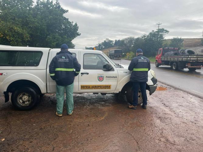 Agência de Defesa Agropecuária do Paraná abre concurso de assistente de fiscalização