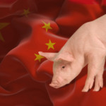Retração nas importações de soja pressiona fabricantes de ração suína na China
