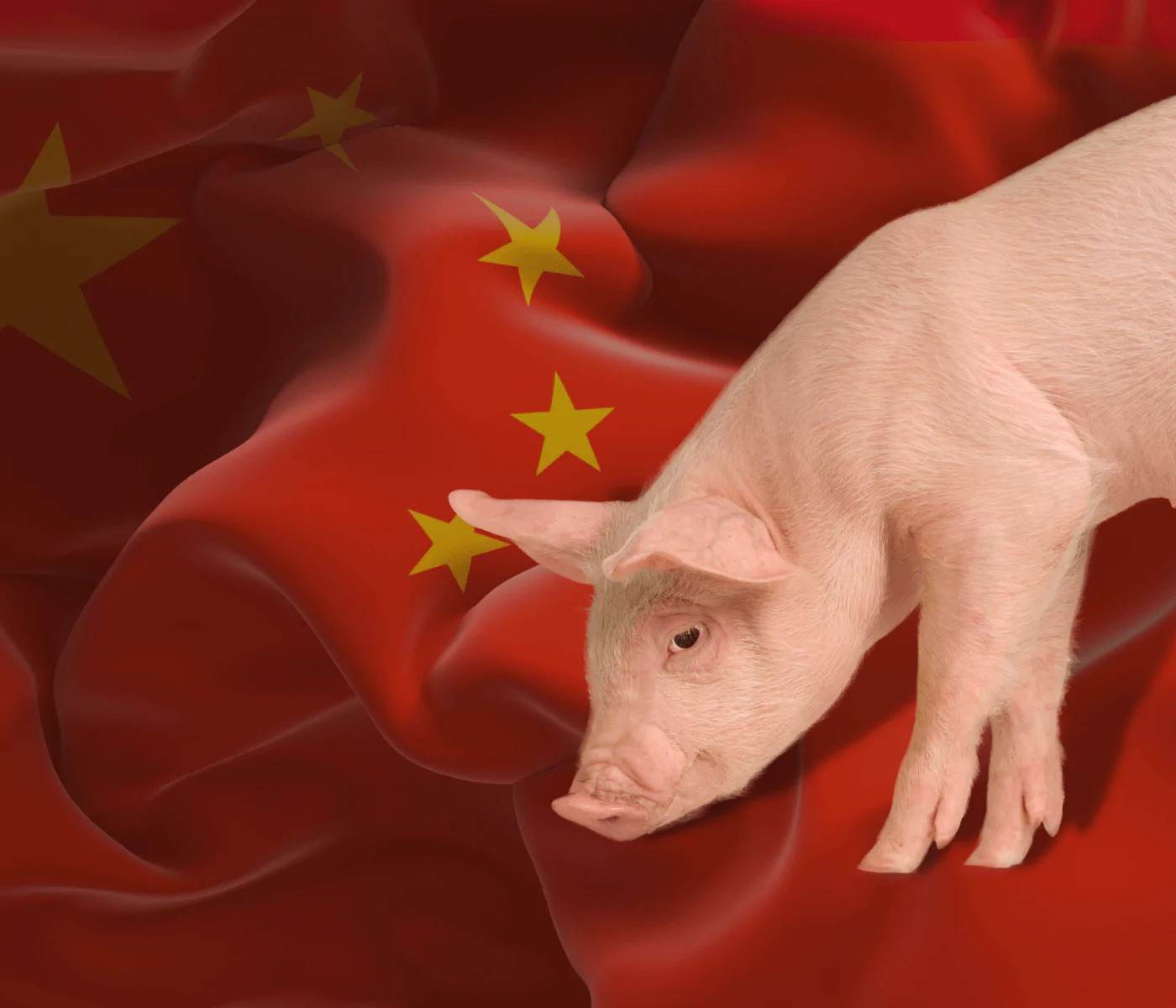 Retração nas importações de soja pressiona fabricantes de ração suína na China
