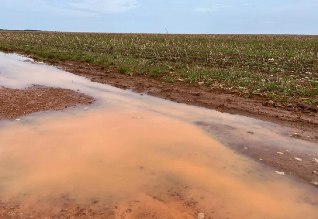 Entidades rurais de Mato Grosso solicitam ações emergenciais ao Ministério da Agricultura para enfrentar desafios climáticos
