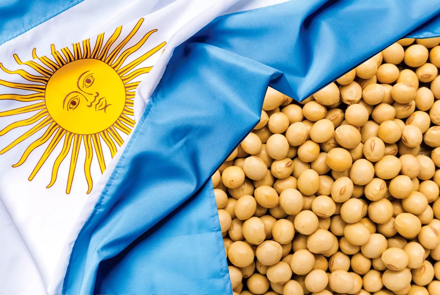Dólar Altera Ritmo de Vendas de Soja no Brasil e na Argentina