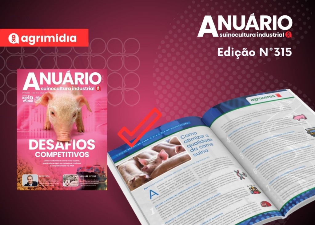 7 Dicas: Como otimizar a qualidade da carne suína