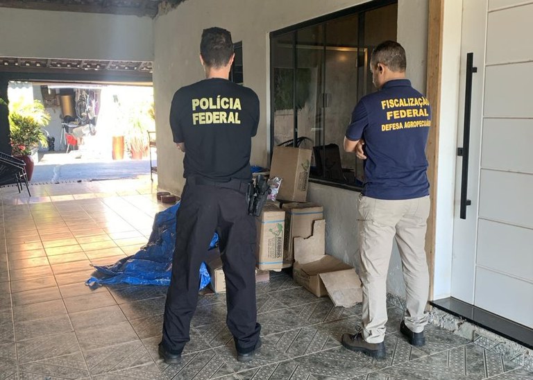 Mapa e Polícia Federal inspecionam produção clandestina de alimentos para animais no Paraná