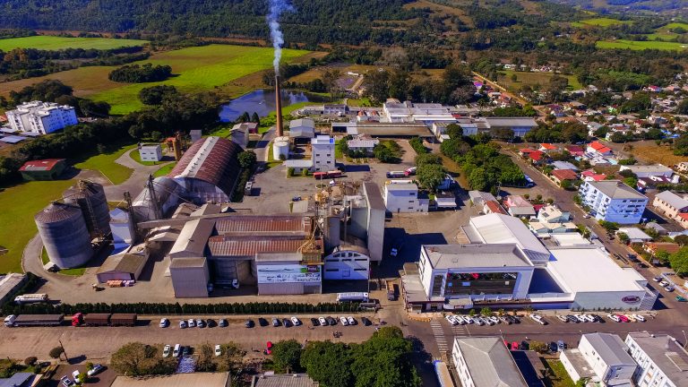 Dália registra crescimento de 14% nas exportações de suínos