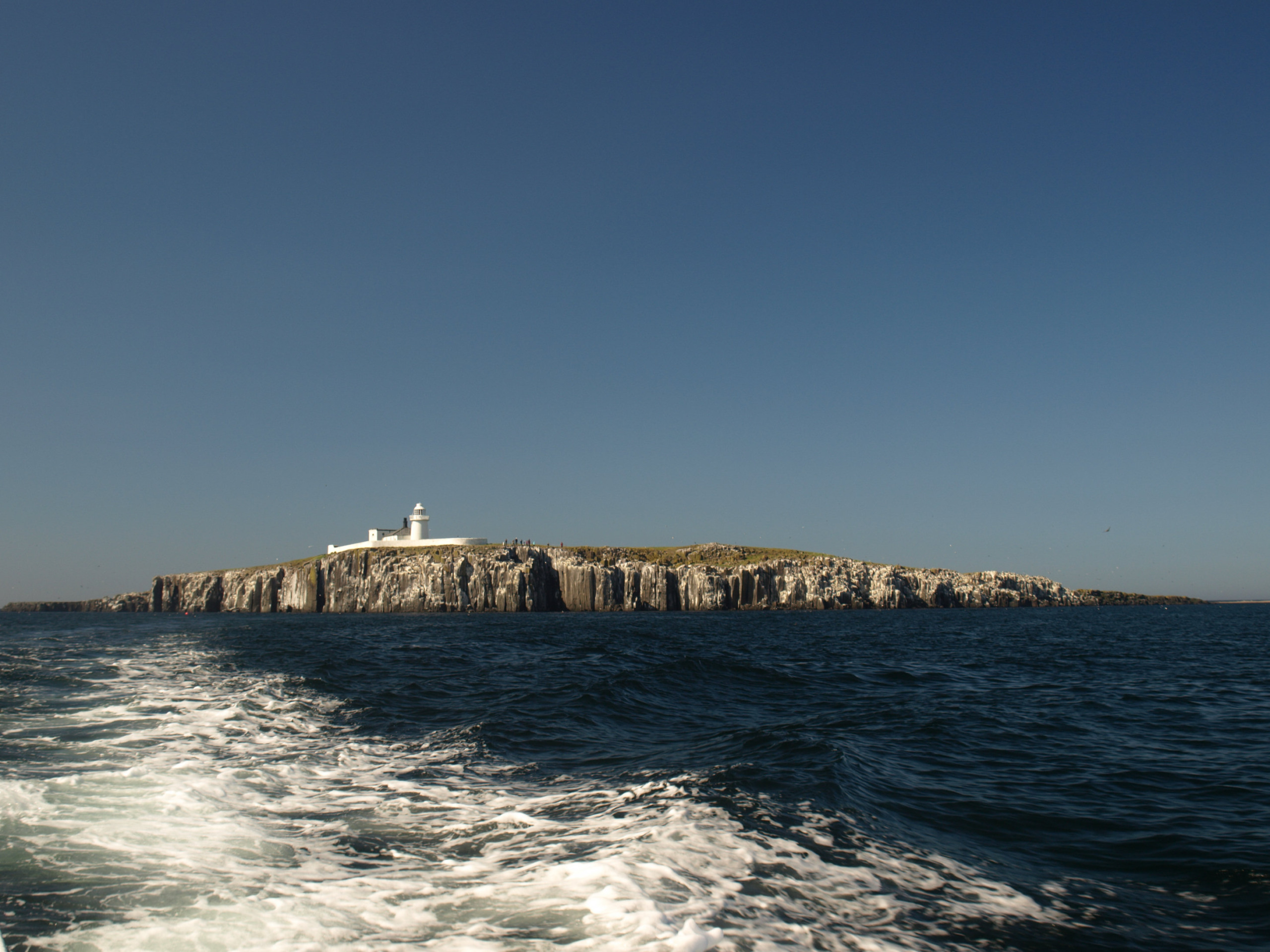 Ilha de Farne, na Inglaterra, reabrirá após fechamento de dois anos devido à gripe aviária