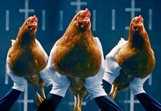 Por que a galinha “não mexe a cabeça”? A ciência responde a curiosidade que deu origem ao comercial viral da Mercedes-Bens há dez anos