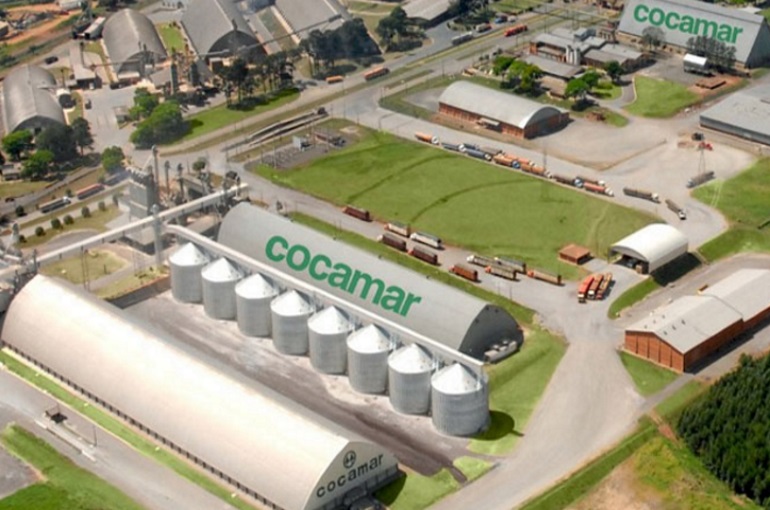 Cocamar alcança faturamento de R$ 13 bilhões em 2023 com crescimento de 17%