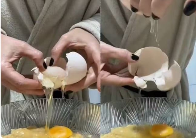 Galinha põe ovo ‘gigante’ com outro inteiro dentro; veja o vídeo