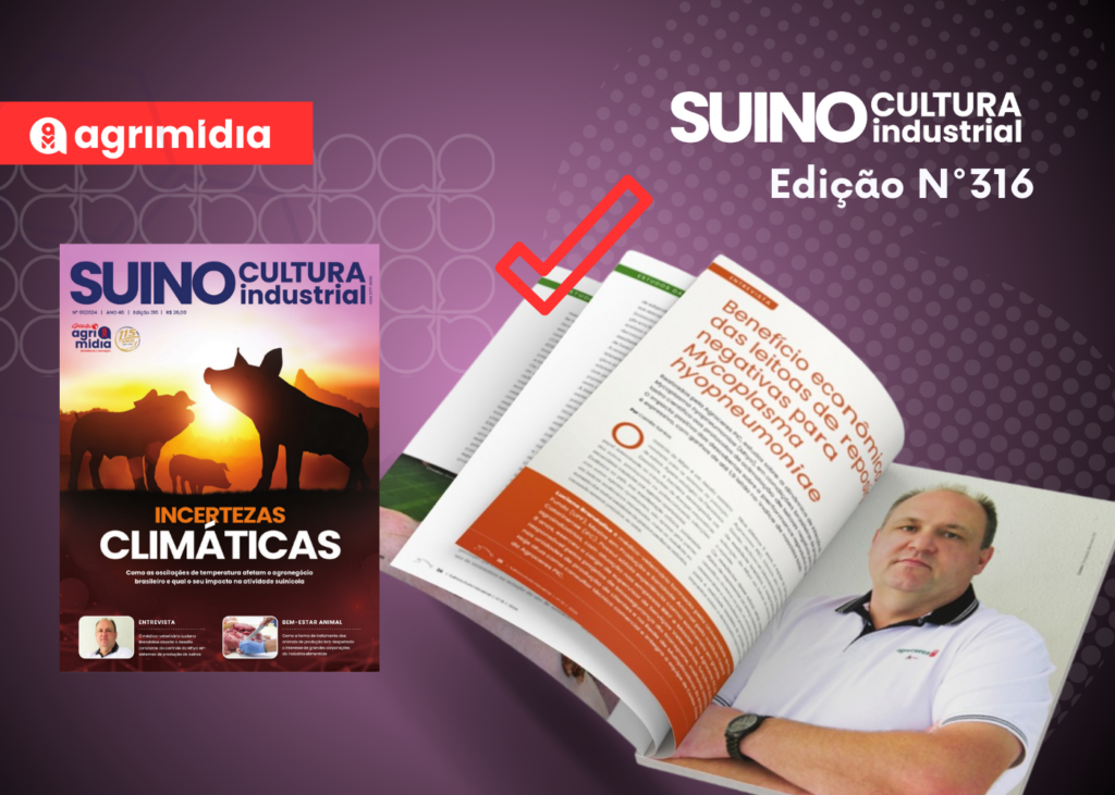Entrevista exclusiva: Luciano Brandalise fala sobre o benefício econômico das leitoas de reposição negativas para Mycoplasma hyopneumoniae