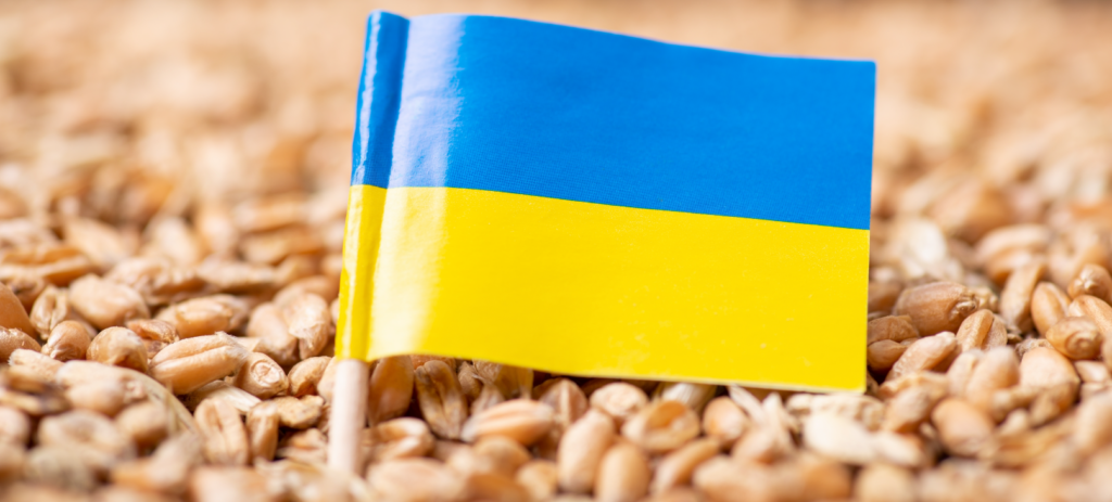 UE chega a acordo com a Ucrânia, mas impõe limites às importações de grãos