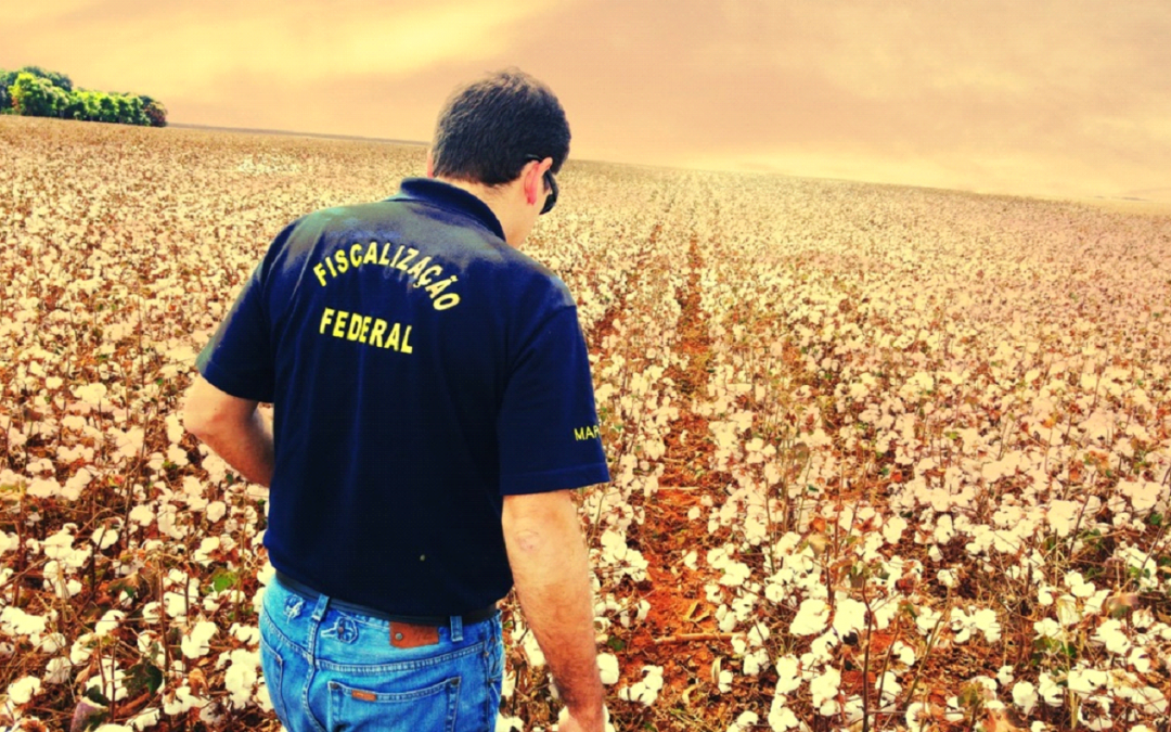 Produtos Veterinários Irregulares com ordem de apreensão nacional