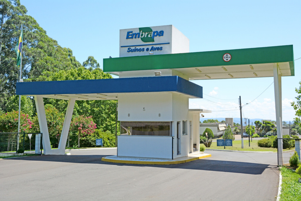 Agenda de pesquisa é apresentada na Câmara Setorial de Aves e Suínos