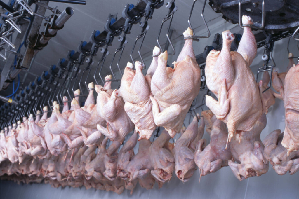 Exportações de carne de frango do Paraná devem aumentar com fim da tarifa antidumping