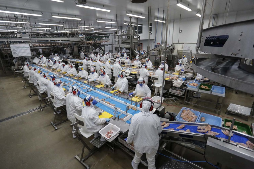 Redução da jornada pode gerar impacto de R$ 10,8 bilhões por ano às cooperativas de SC, segundo OCESC