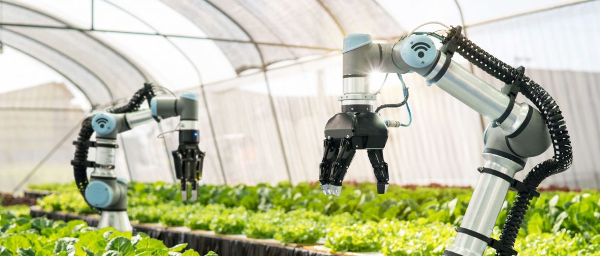 Agro digital: Inteligência Artificial e a evolução do agronegócio