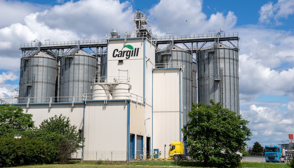 Cargill anuncia aporte superior a US$ 130 milhões para ampliar avicultura na Ásia