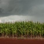 Frente fria traz temporais ao Sul e ao Nordeste