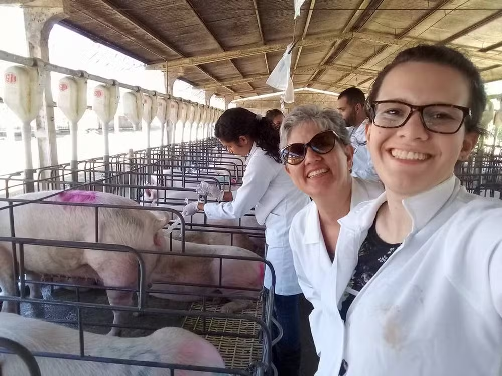 Trajetória inspiradora: pioneirismo feminino na Suinocultura