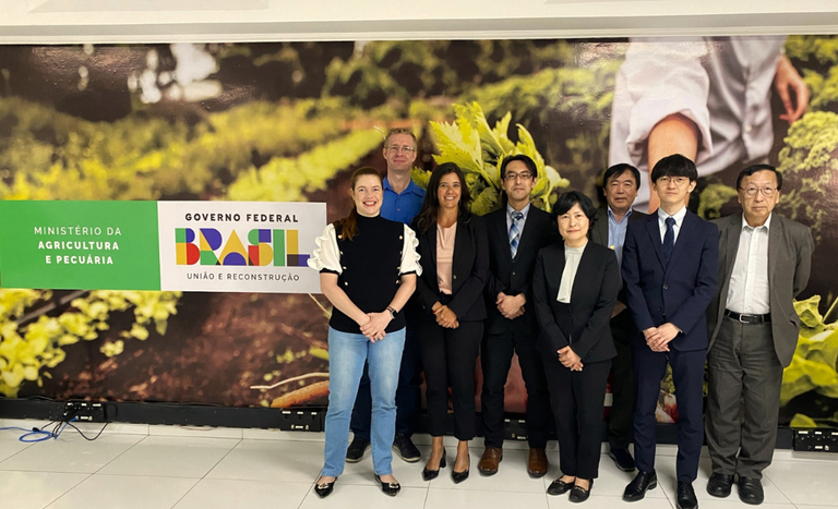 Missão japonesa conclui avaliação do controle da gripe aviária no Brasil