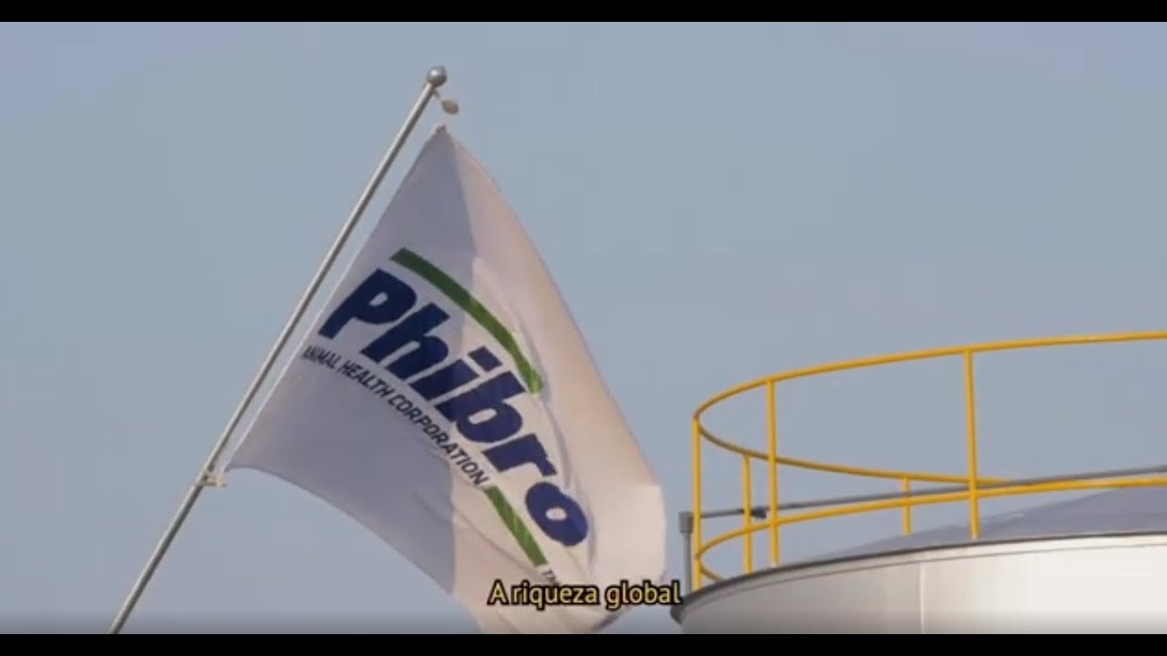 Phibro Animal Health tem redução de 82% no 2º trimestre fiscal