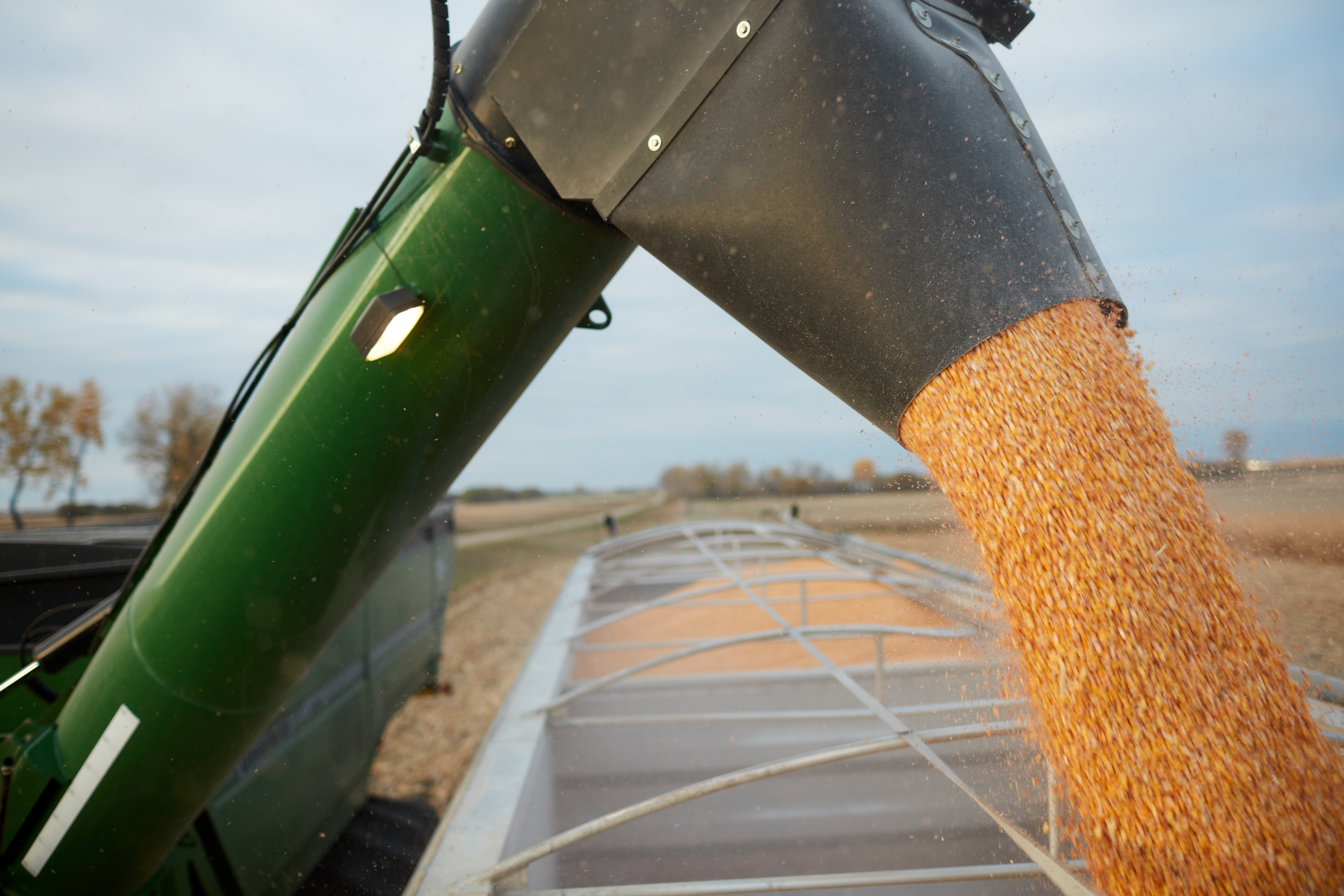 Colheita da safra de soja 2023/24 atinge 73% da área no Paraná, enquanto a de milho alcança 82%, segundo DERAL