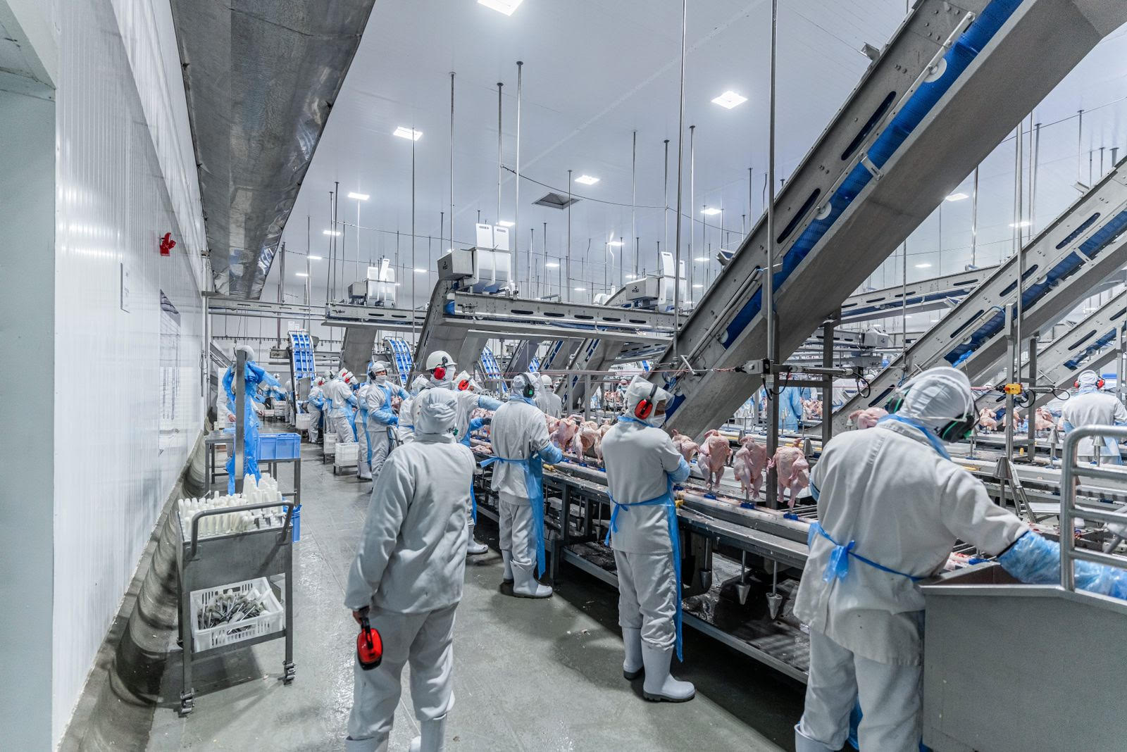 Seis frigoríficos brasileiros têm habilitação negada pela China por falhas de conformidade Seis frigoríficos brasileiros têm habilitação negada pela China por falhas de conformidade