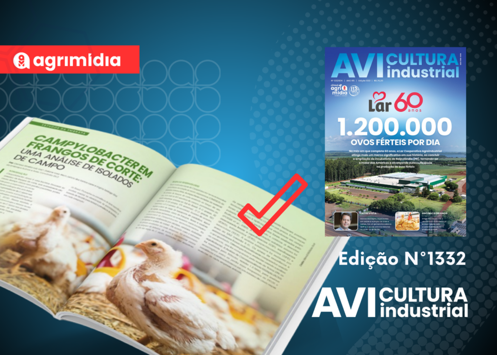 Campylobacter em frangos de corte: uma análise de isolados de campo