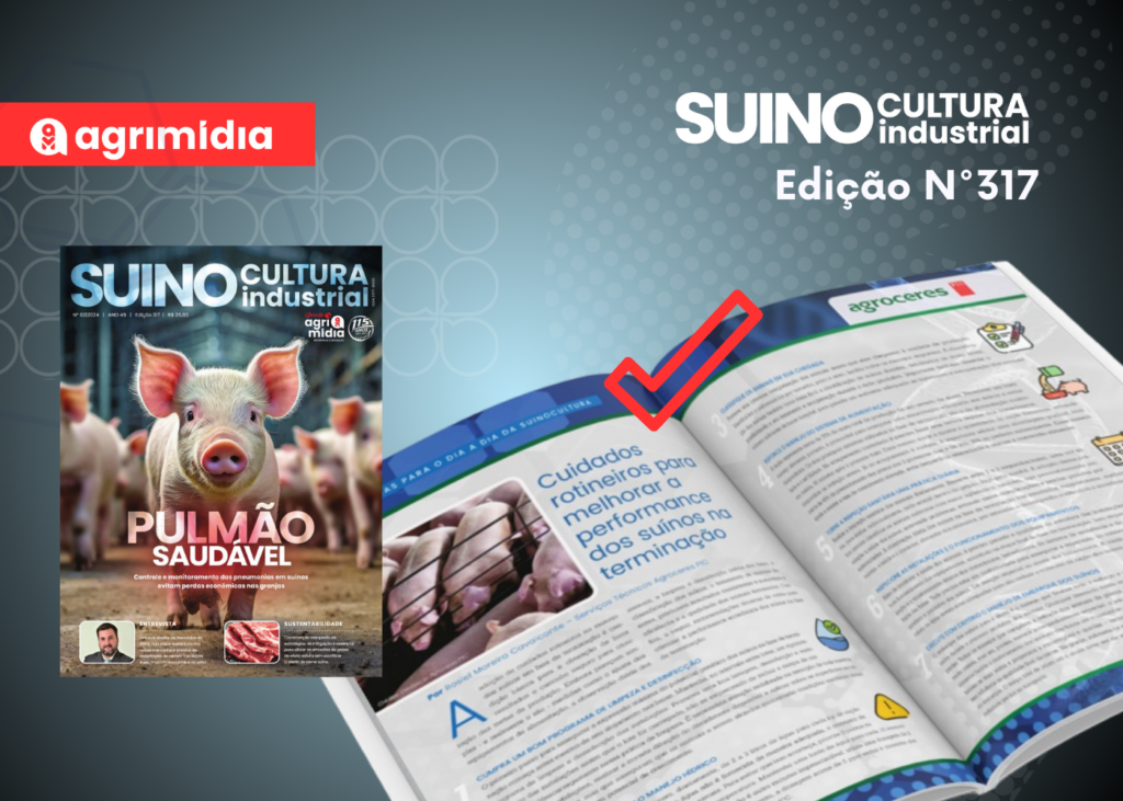 Cuidados rotineiros para melhorar a performance dos suínos na terminação