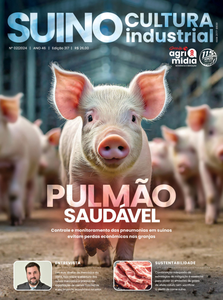 SI – Edição 317
