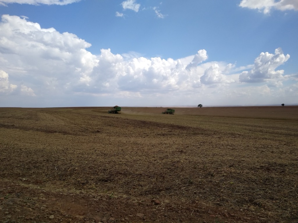 Estudo aponta maior perda na colheita da soja paranaense safra 2022-2023