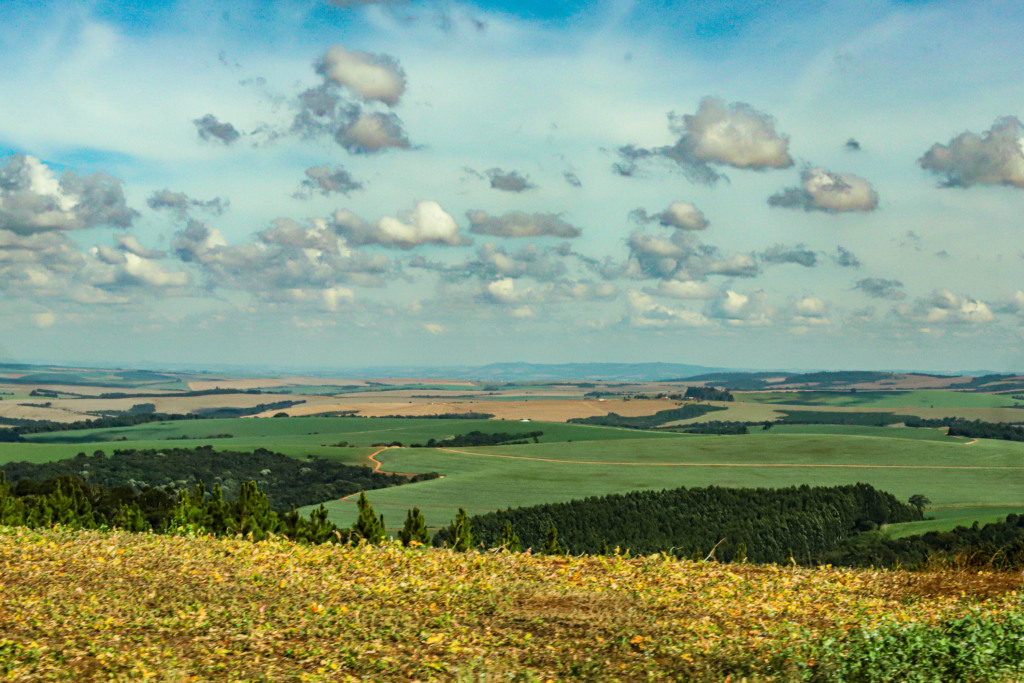 Preços de terras agrícolas no Paraná: levantamento do Deral mostra tendências de mercado