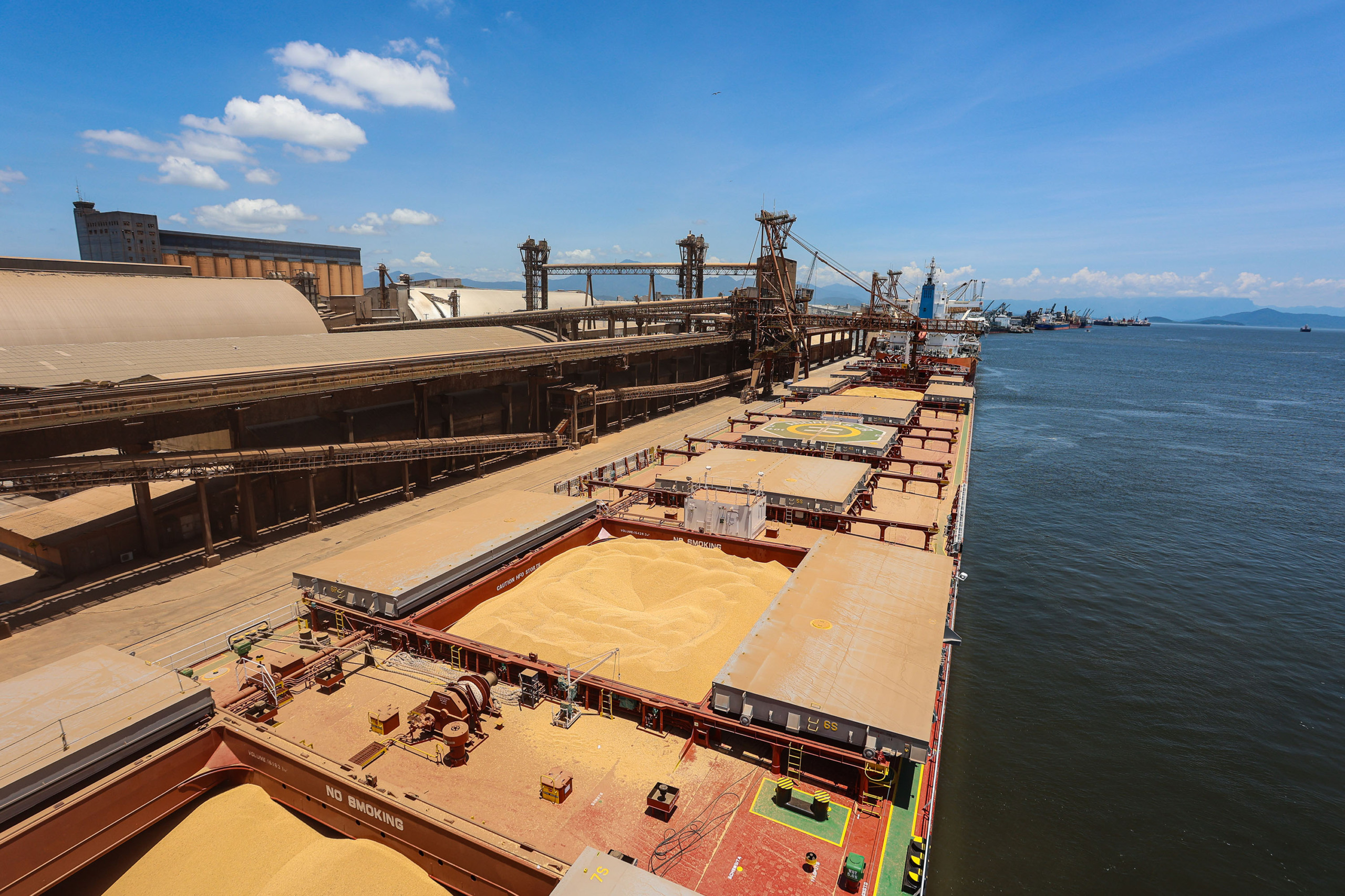 Exportações de soja pelo Porto de Paranaguá para a China crescem 91,8%
