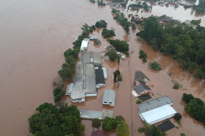 Setor avícola do RS solicita recursos e crédito para reconstrução após enchentes