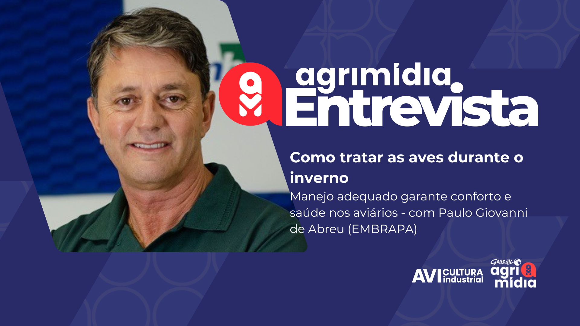 Como tratar as aves durante o inverno; assista a entrevista com o pesquisador da Embrapa Como tratar as aves durante o inverno; assista a entrevista com o pesquisador da Embrapa