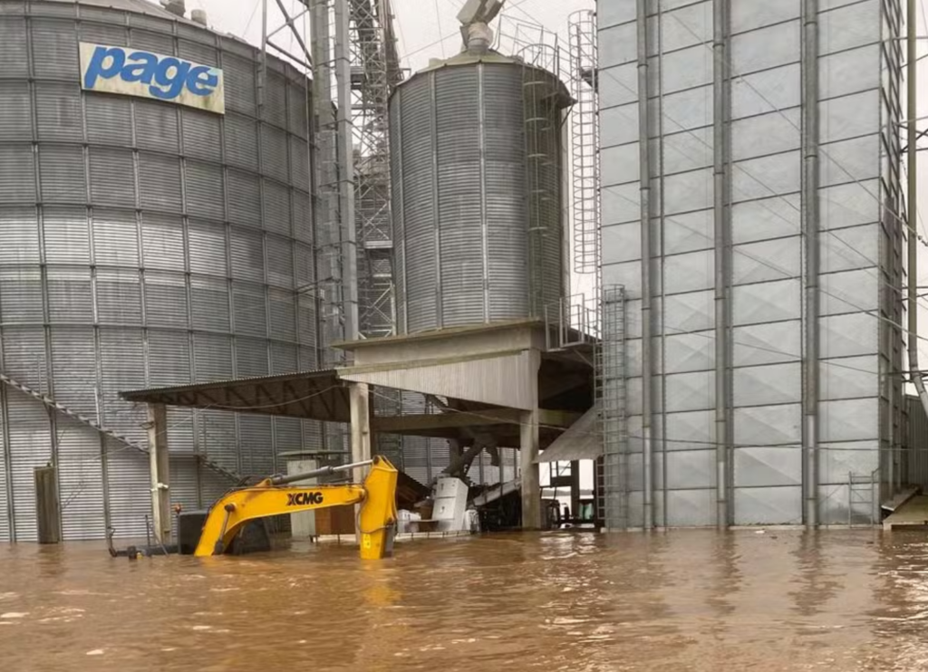 Catástrofe nas lavouras de soja do RS pode elevar preços do frango, suíno e óleo