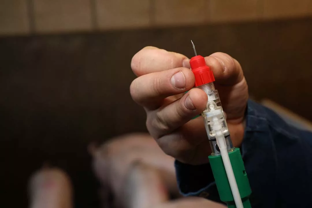 Governo da Filipinas adquire vacinas contra PSA com lançamento para junho ou julho