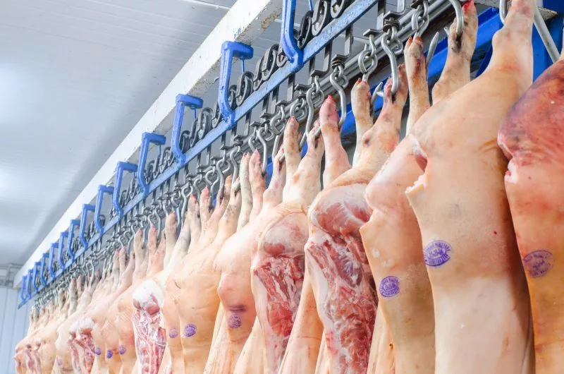 Preços da carne suína caem em março, mesmo com exportações em alta