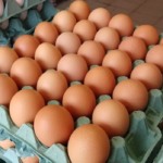 Preço dos ovos recua no fim da Quaresma, mas média mensal ainda acumula alta