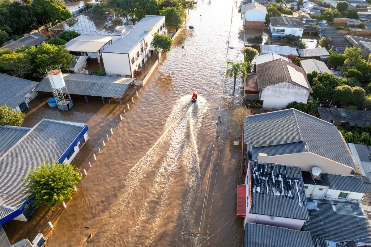 Condições climáticas no RS impacta distribuição de ovos, avalia Cepea