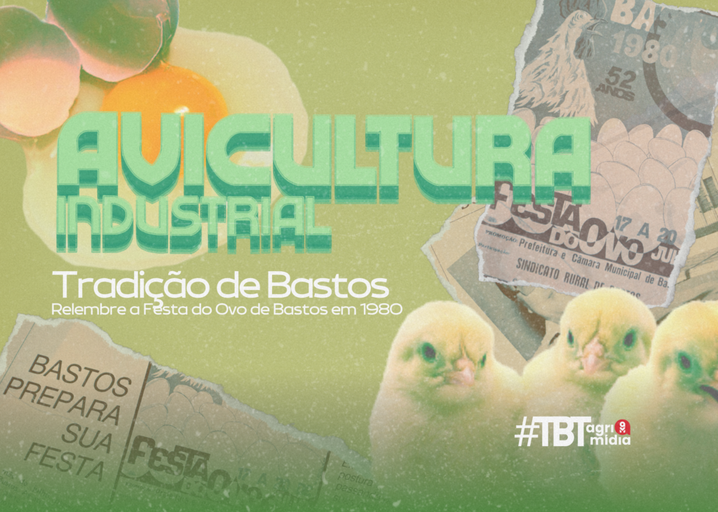 #tbtAgrimídia: Relembre a Festa do Ovo de Bastos em 1980