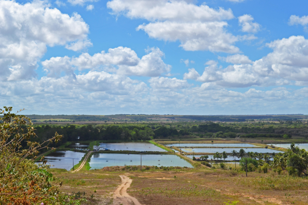 Embrapa vai testar tecnologia inovadora para mapear aquicultura no Brasil