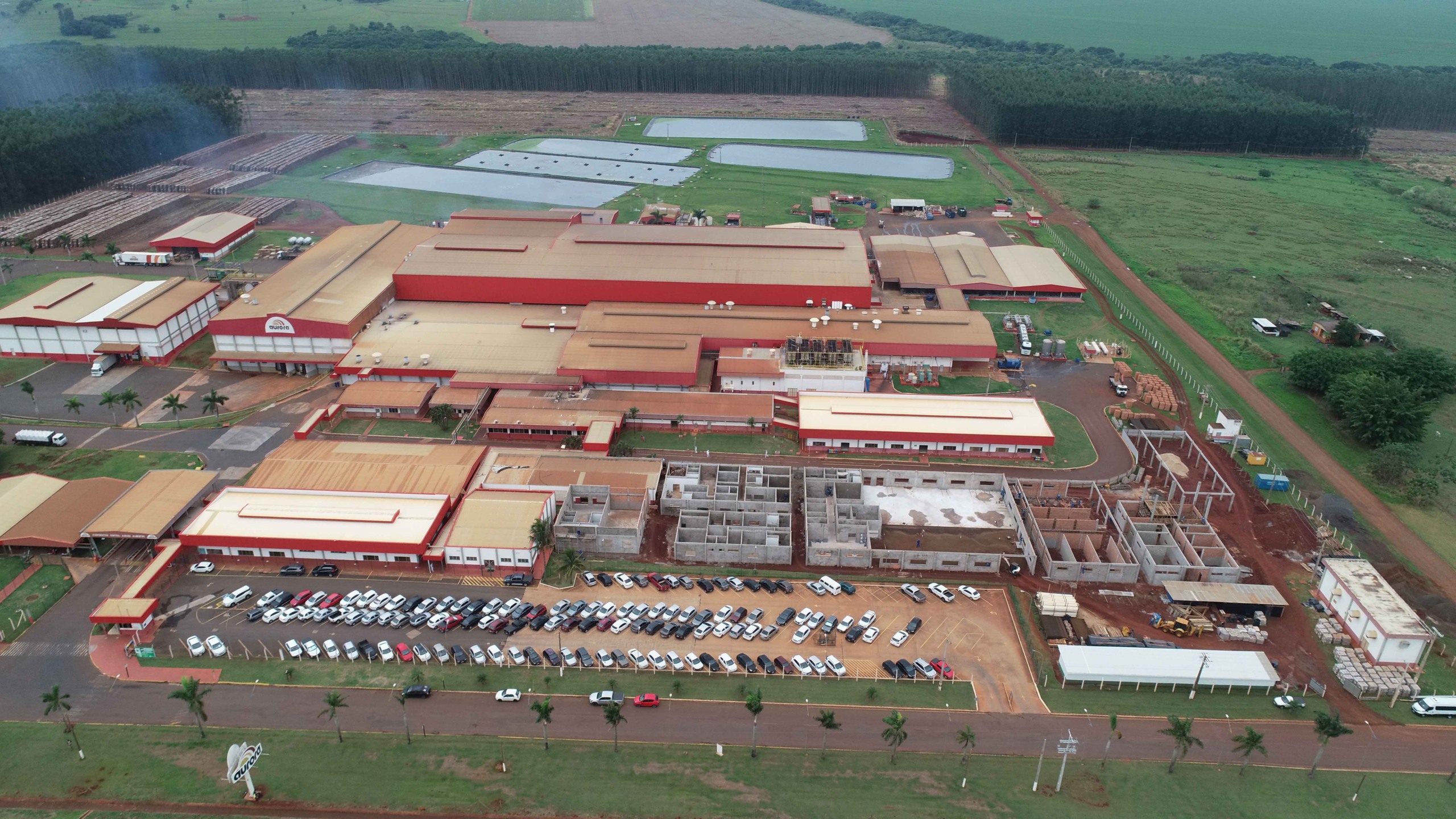 Aurora Coop investe R$320 milhões no Centro-Oeste e eleva abate para 5 mil suínos/dia