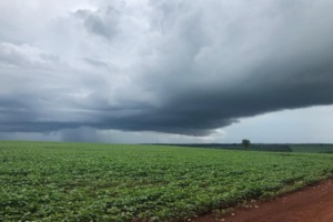 Nordeste entra em alerta vermelho para chuvas intensas; Confira o clima de hoje (03/03)